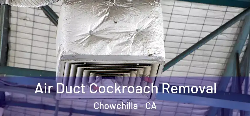  Air Duct Cockroach Removal Chowchilla - CA