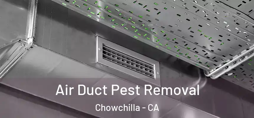  Air Duct Pest Removal Chowchilla - CA