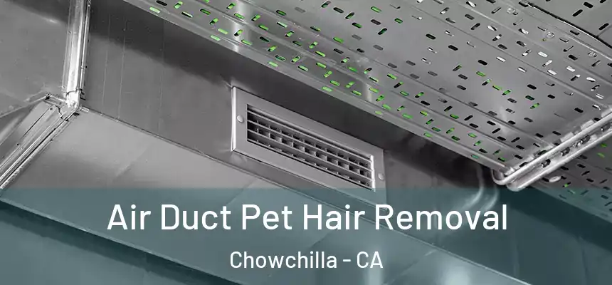 Air Duct Pet Hair Removal Chowchilla - CA