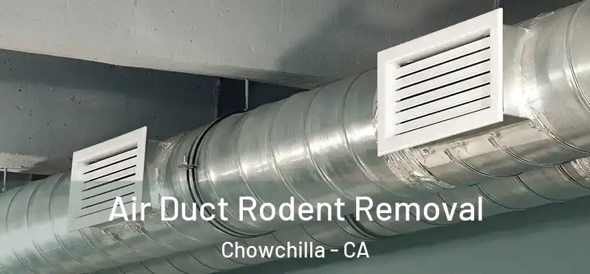  Air Duct Rodent Removal Chowchilla - CA