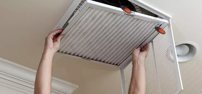 Preventive Cockroach-Proofing for Ducts in Chowchilla