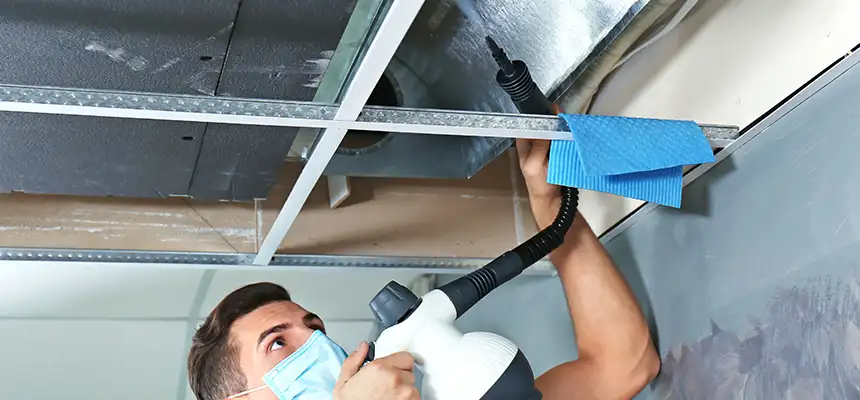 Our Air Duct Rodent Removal Services in Chowchilla, CA