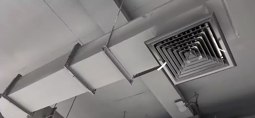 Our Pest Removal From Ducts Services in Chowchilla, CA