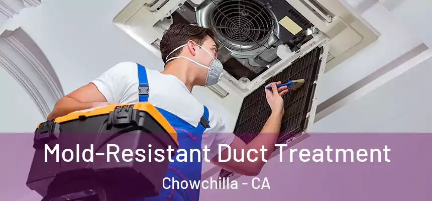  Mold-Resistant Duct Treatment Chowchilla - CA