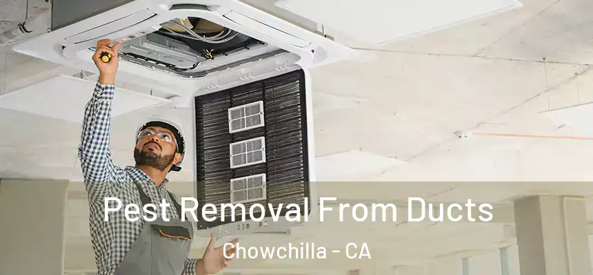  Pest Removal From Ducts Chowchilla - CA