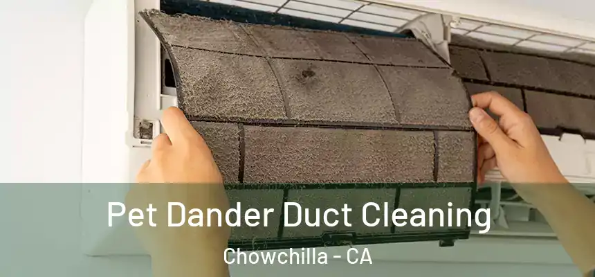 Pet Dander Duct Cleaning Chowchilla - CA