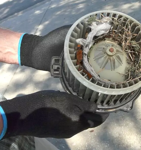 About Air Duct Rat Removal in Chowchilla, CA