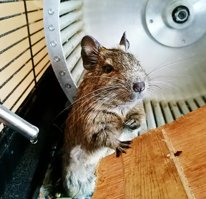 Why Homeowners & Businesses Trust Us Chowchilla, CA?