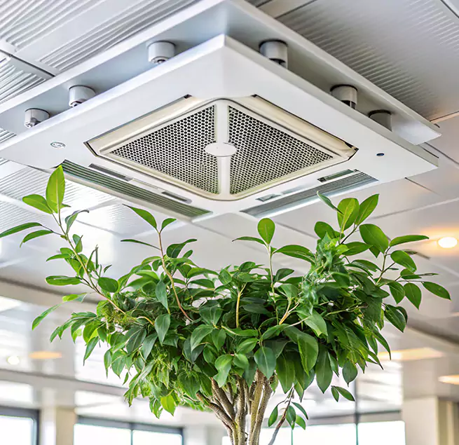 Why Homeowners & Businesses Trust Us in Chowchilla, CA